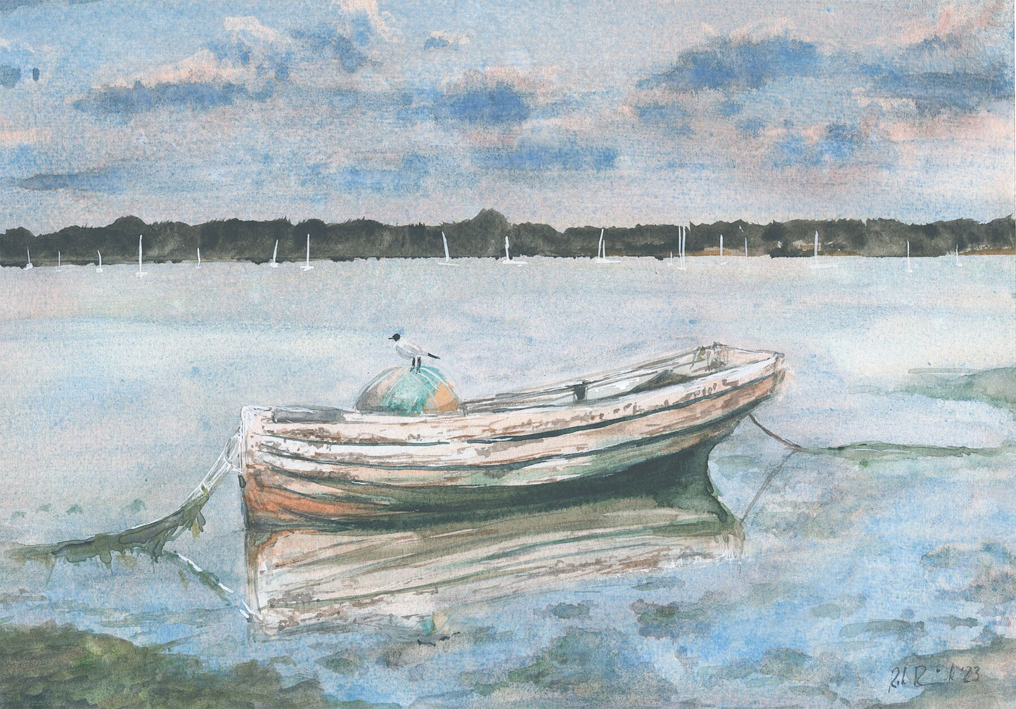 Glistening Gull of Pin Mill, Suffolk by The Rik Barwick Studio